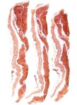 bacon ethics